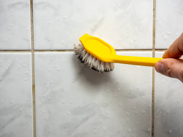 Best Mold Removal Specialists  in Bosque Farms, NM