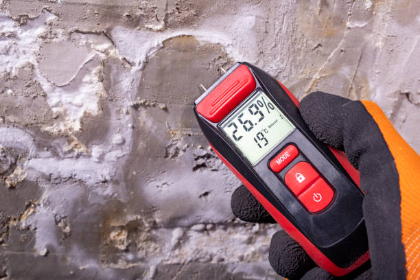 Mold Removal Process in Bosque Farms, NM