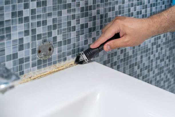 Best Professional Mold Removal  in Bosque Farms, NM